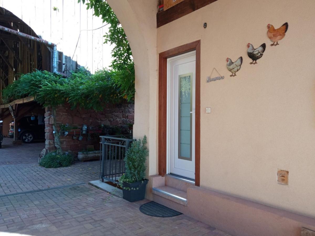 Gites Les Cocottes Zellwiller Exterior photo