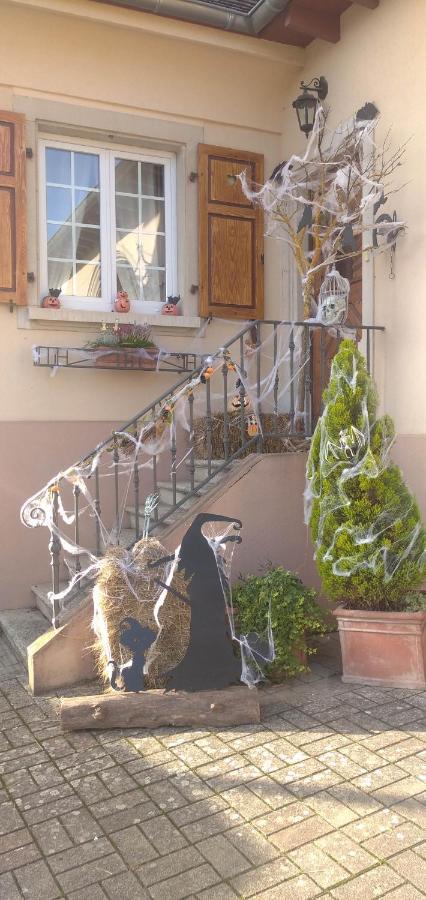 Gites Les Cocottes Zellwiller Exterior photo